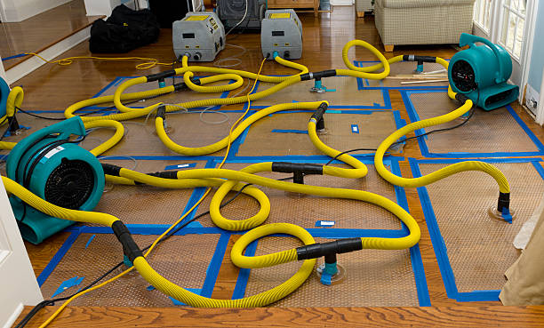 Professional Basement Flood Cleanup technician working in Witten, SD